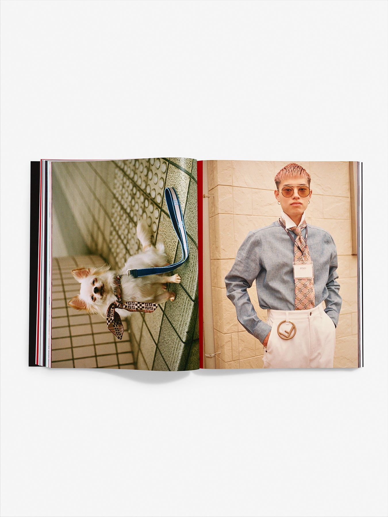 Cara Delevingne and Adwoa Aboah Shoot - Chaos 69 Magazine Poster